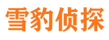 上街外遇出轨调查取证